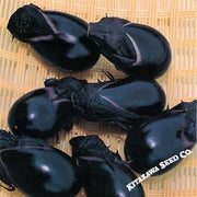 Eggplant Seeds - Konasu