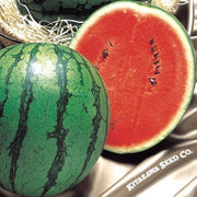 Watermelon Seeds - Hime Kansen - Hybrid