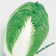 Chinese Cabbage Seeds - Blues - Hybrid