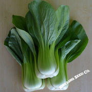 Cabbage Seeds - Pak Choi - Chun Mei - Hybrid