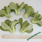 Cabbage Seeds - Pak Choi - Petite Star - Hybrid