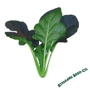 Cabbage Seeds - Pak Choi - Red Kingdom - Hybrid