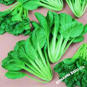 Cabbage Seeds - Pak Choi - Savory Tatsoi