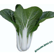 Cabbage Seeds - Pak Choi - Tall White Stem - Hybrid