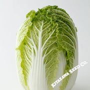Chinese Cabbage Seeds - Chun Yeon Gold - Hybrid