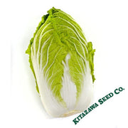 Chinese Cabbage Seeds - Matsushima No. 2