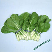 Chinese Cabbage Seeds - Osaka Shirona