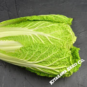 Chinese Cabbage Seeds - WR-70 Days - Hybrid