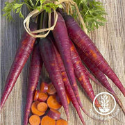 Carrot - Purple Garden Seed