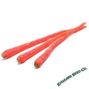 Carrot Seeds - Samaurai Red