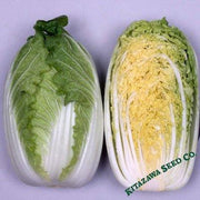 Chinese Cabbage Seeds - Mini Kisaku 50 - Hybrid