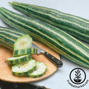 Cucumber Seeds - Armenian Striped