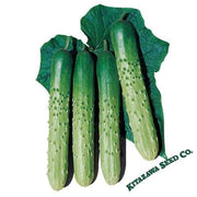 Cucumber Seeds - Asia Eun Cheon - Hybrid