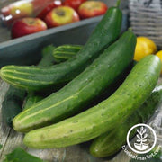 Cucumber Seeds - Garden Sweet Burpless F1