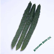 Cucumber Seeds - Palace Pride - Hybrid
