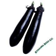Eggplant Seeds - Black Shine - Hybrid