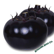 Eggplant Seeds - E-Star - Hybrid