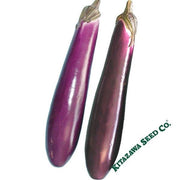 Eggplant Seeds - Purple Shine - Hybrid