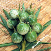 Eggplant Seeds - Thai Round