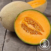 Melon Cantaloupe Hearts of Gold Seed