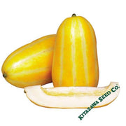 Melon Seeds - Ginkaku - Hybrid