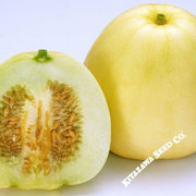 Melon Seeds - New Melon