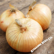 Onion Seeds - Imai Early Yellow
