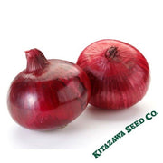 Onion Seeds - Shonan Red