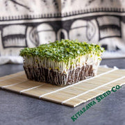 Cabbage Seeds - Pak Choi - Extra Dwarf - Microgreens Seeds