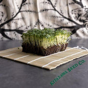 Cabbage Seeds, Pak Choi - Rosette Tatsoi - Microgreen Seeds