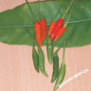 Pepper Seeds - Hot - Thai - Garden Bird