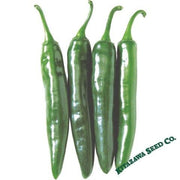 Pepper Seeds - Hot - Korean - Gochu Vita Green - Hybrid