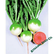 Radish Seeds - Chinese - Red Meat