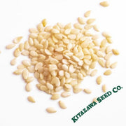 Sesame Seeds - White - Shirogoma