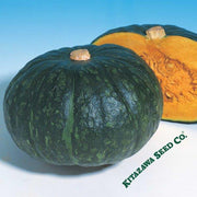 Squash Seeds - Japanese, Winter - Hokkori - Hybrid