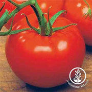Tomato Ace 55 VF Seed