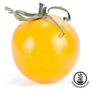 Tomato Seeds - Sunray