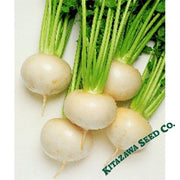 Turnip Seeds - Tokyo Cross - Hybrid