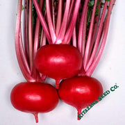 Turnip Seeds - Tsugaru Scarlet - Hybrid